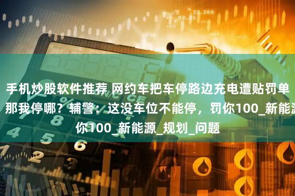 手机炒股软件推荐 网约车把车停路边充电遭贴罚单！司机怒了：那我停哪？辅警：这没车位不能停，罚你100_新能源_规划_问题